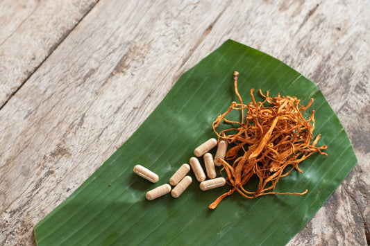 Cordyceps for Athletes: Discuss how cordyceps supplements may benefit athletes and fitness enthusiasts, including endurance enhancement and recovery support.